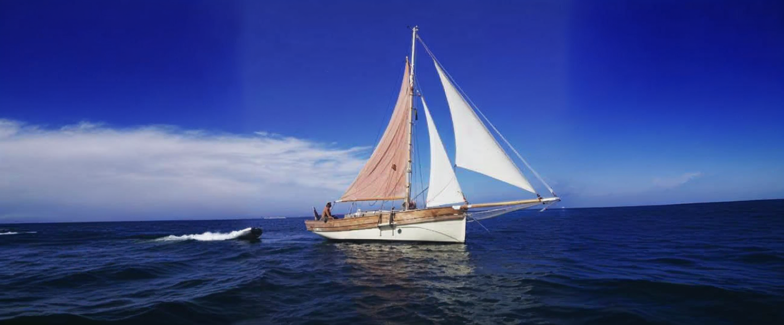 freepik__enhance__69233